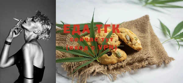 гашик Ельня