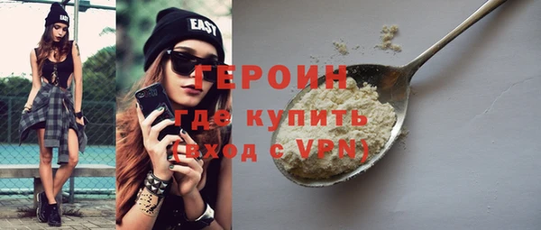 гашик Ельня