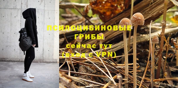 таблы Елабуга