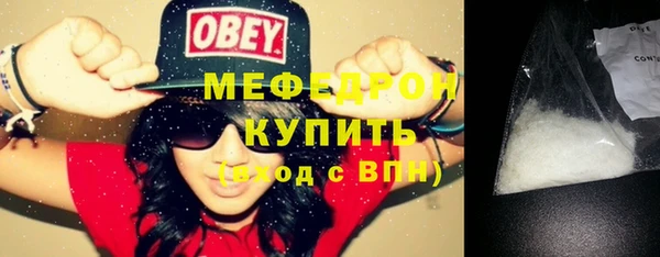 гашик Ельня