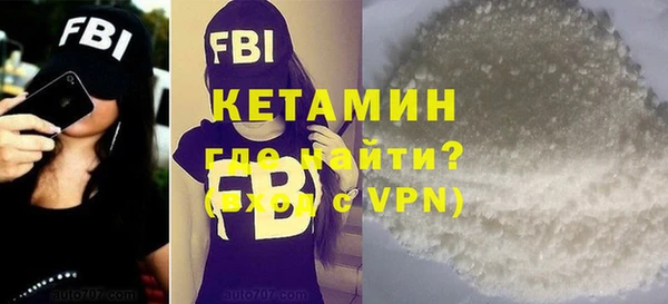 гашик Ельня