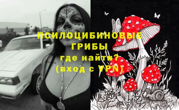 таблы Елизово