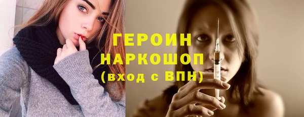 гашик Ельня