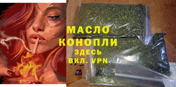 гашик Ельня