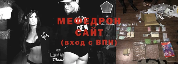 гашик Ельня