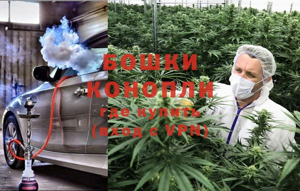 гашик Ельня