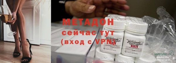 гашик Ельня