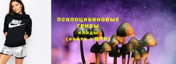 гашик Ельня