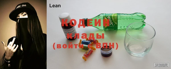 гашик Ельня
