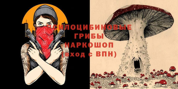 таблы Елизово