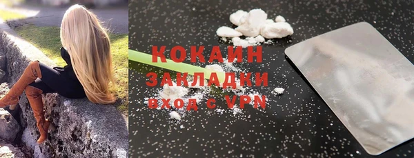 гашик Ельня