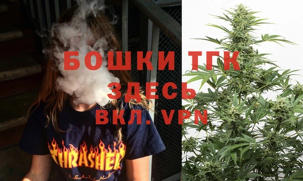 гашик Ельня