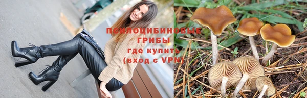 гашик Ельня