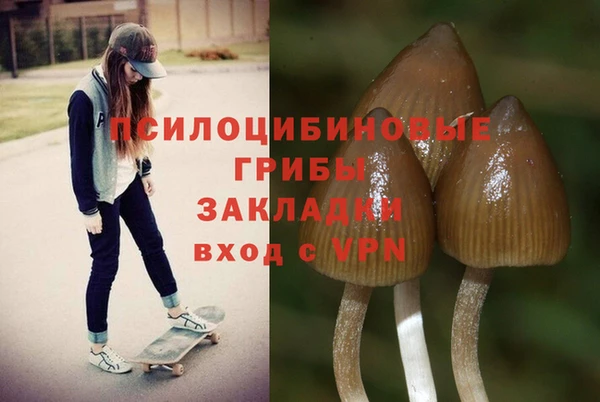таблы Елизово