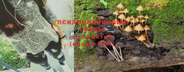 гашик Ельня