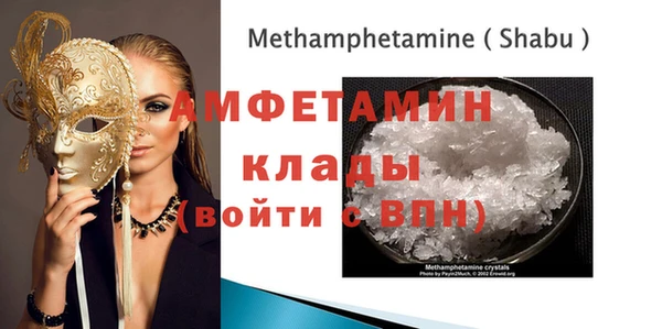 гашик Ельня