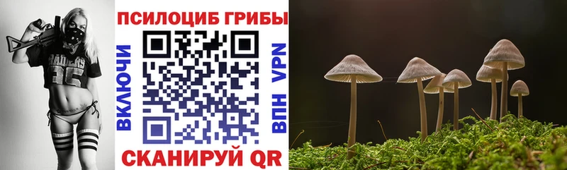 Галлюциногенные грибы GOLDEN TEACHER  Купить  Нюрба 